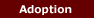 [International Adoption]