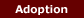 [International Adoption]