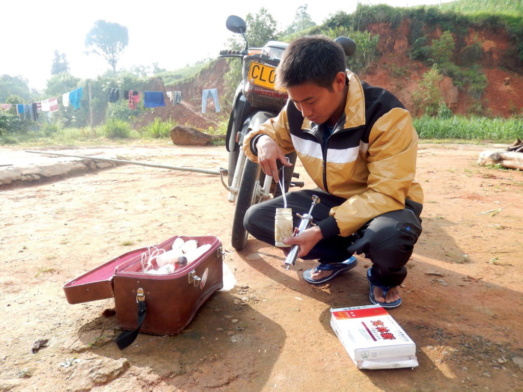 Though human medicine is more respected in China, Yang Ma Luan continued to pursue his dream of becoming a veterinarian with encouragement from his sponsor.