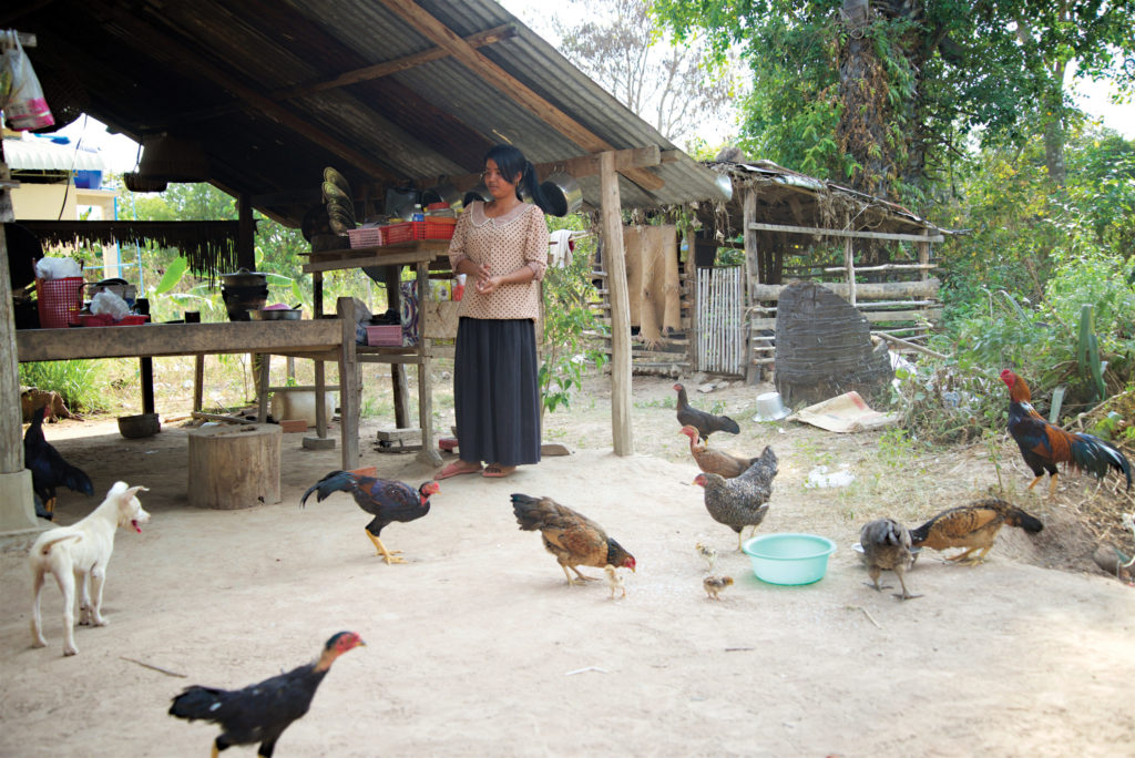 CAM 2016 Kampot - Prech Village IGA Pig-Chicken 37