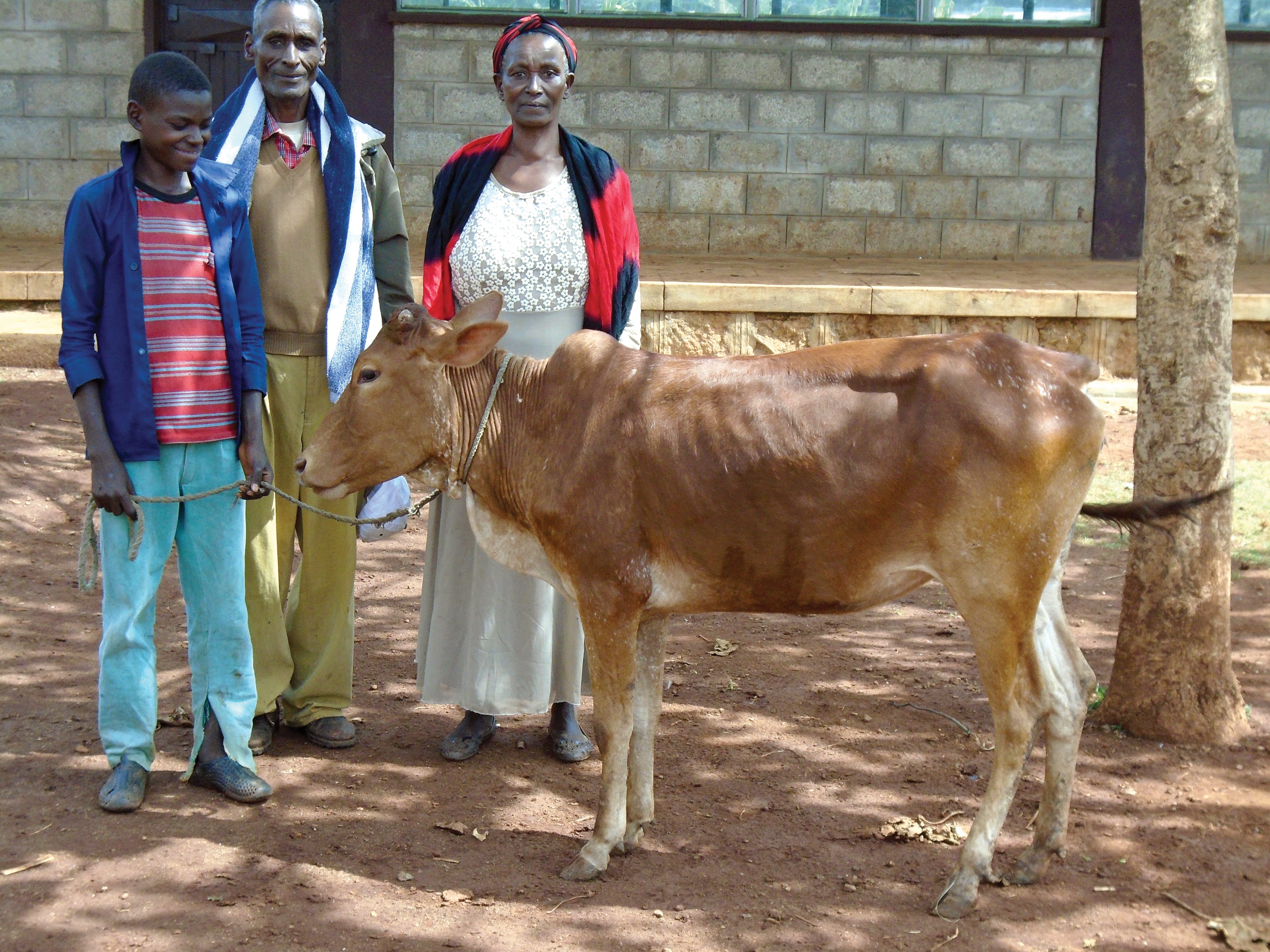 Tesfahun and his family are so thankful for their new cow and say they are blessed by the Fishers’ “generosity and warm hearts.”
