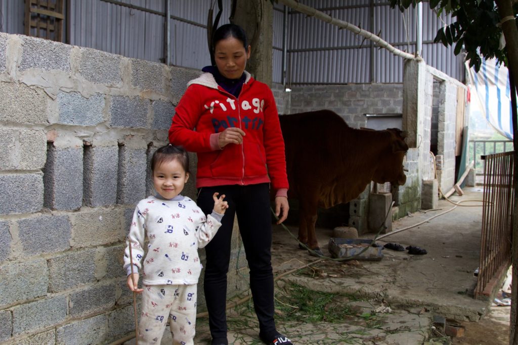 Tieu and Nam standing near a cow in a barn