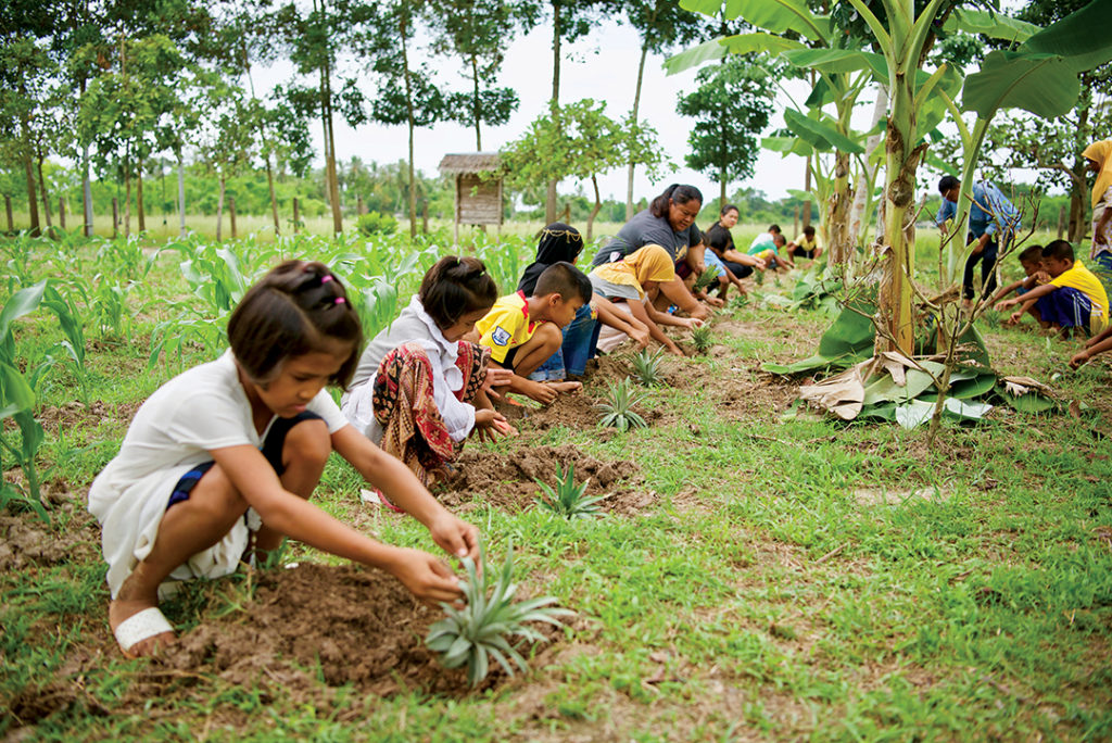 row of children gardening and planting pineapples
