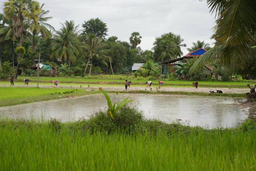 Rural Kampot province. 