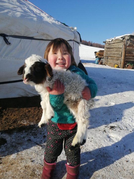A child in Mongolia holds a sheep she and her family received as a result of Anna's fundraising project!