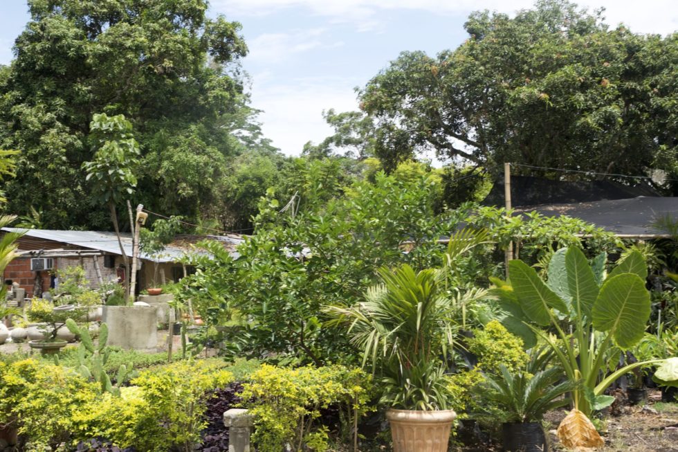 Many of the families have learned how to grow gardens. 