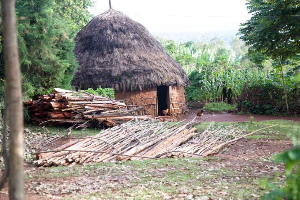 Most families in rural Ethiopia are subsistence farmers and live in traditional homes like this one, made of mud and eucalyptus leaves. 