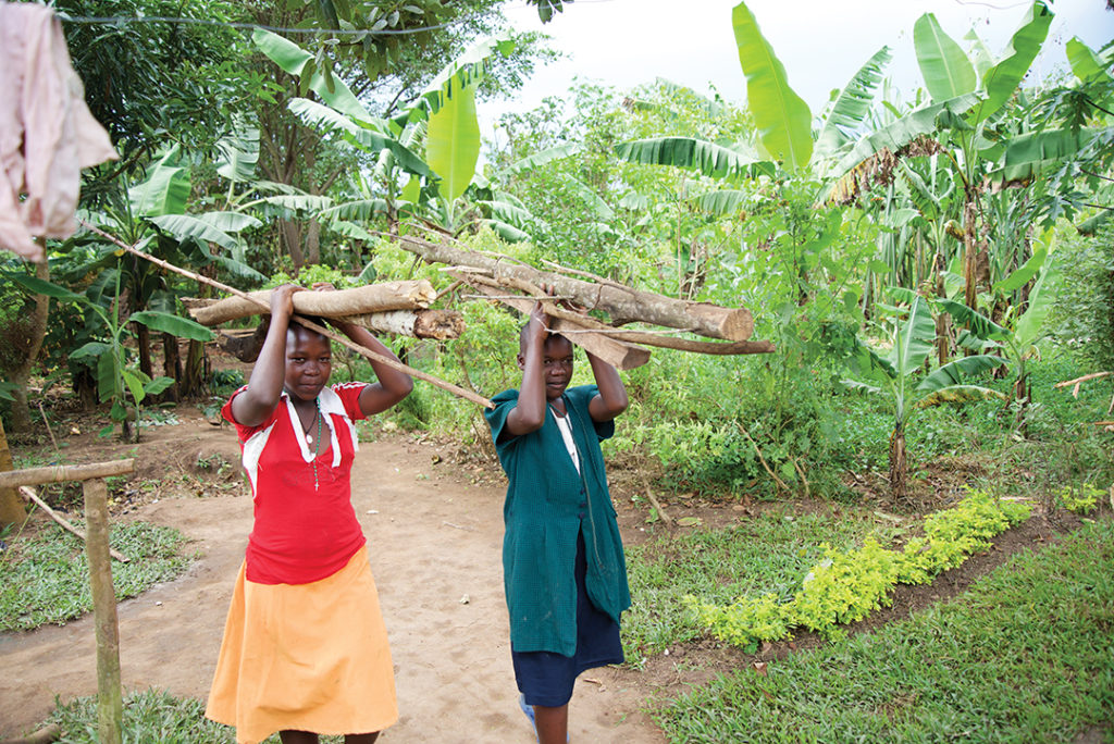 two girls carrying firewood above their heads