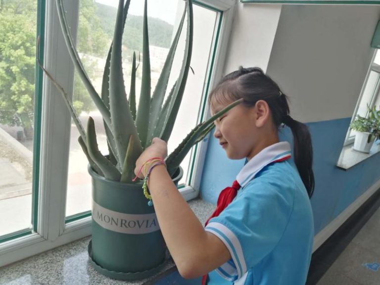 Girl tending to plant