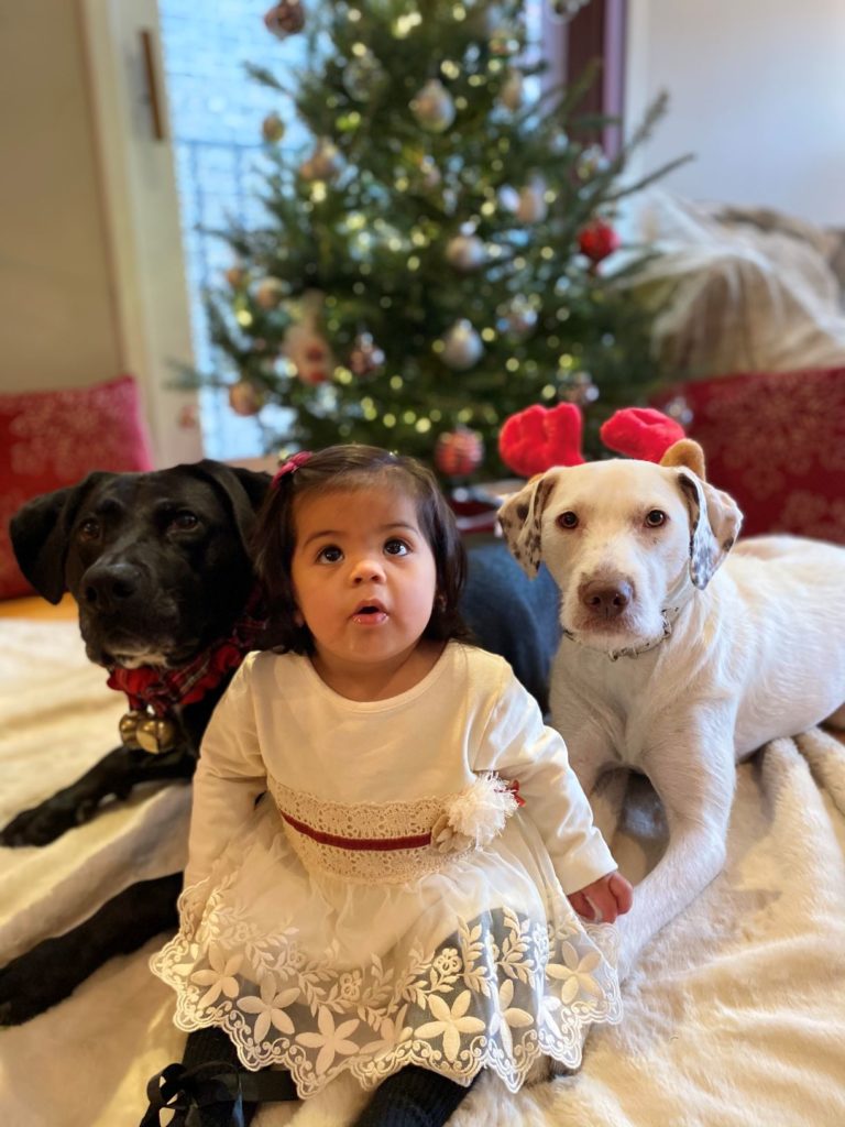 toddler girl sitting in front of black dog white dog and christmas tree
