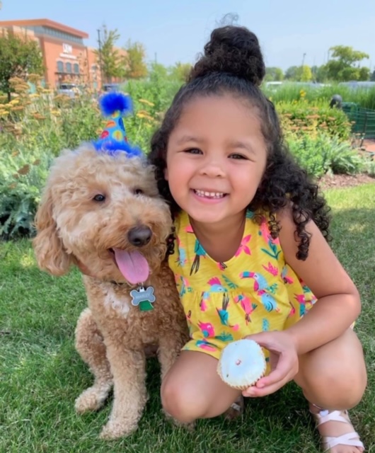 smiling little girl kneeling next to light brown curly dog