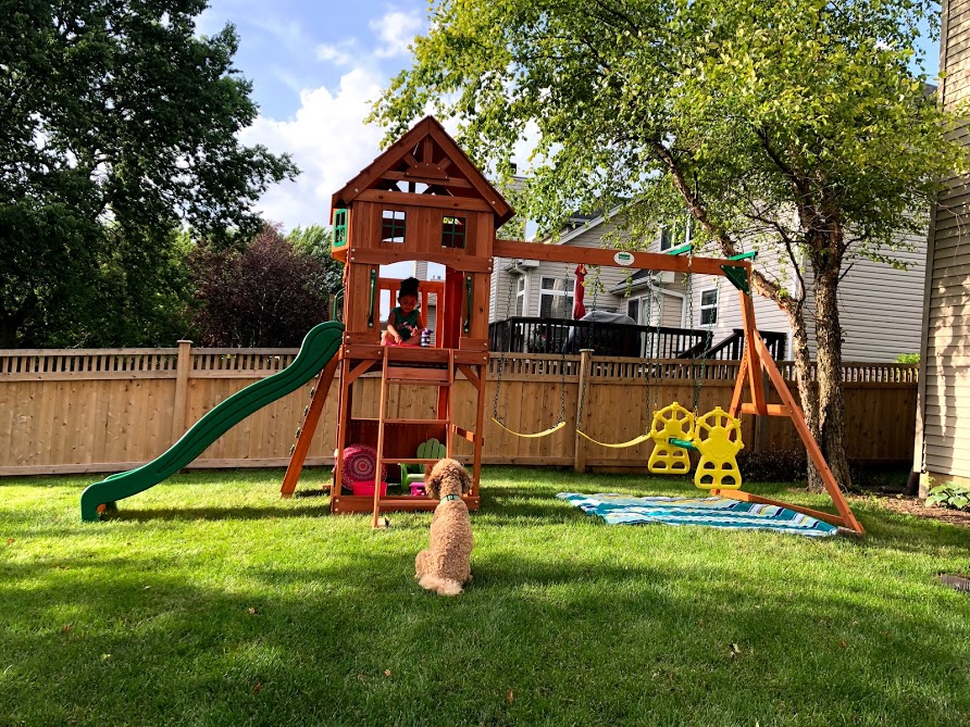 light brown curly dog sitting in front of wooden childrens playground