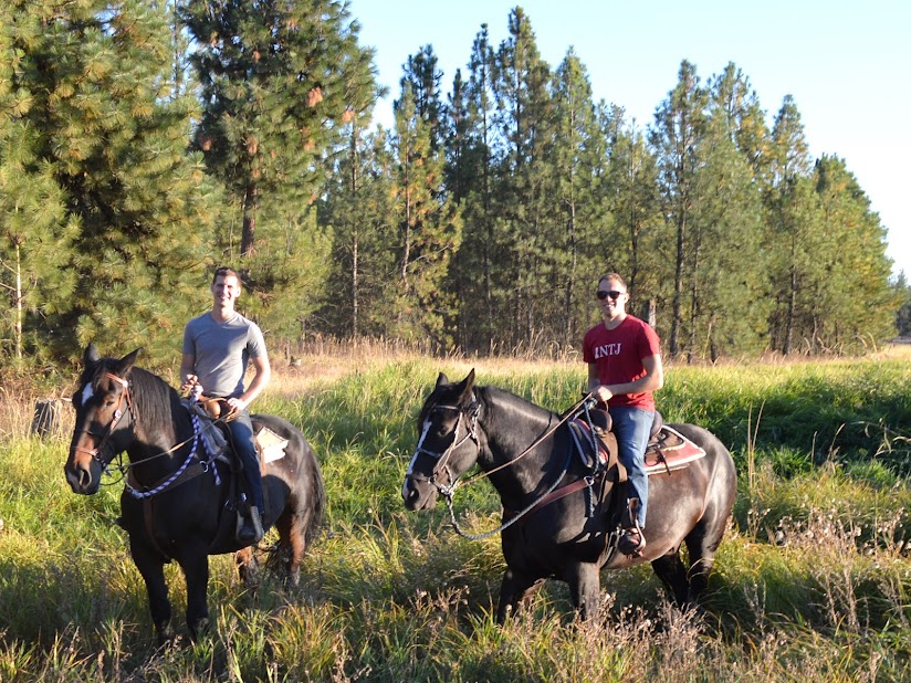 two men each riding a black horse through a grassy field