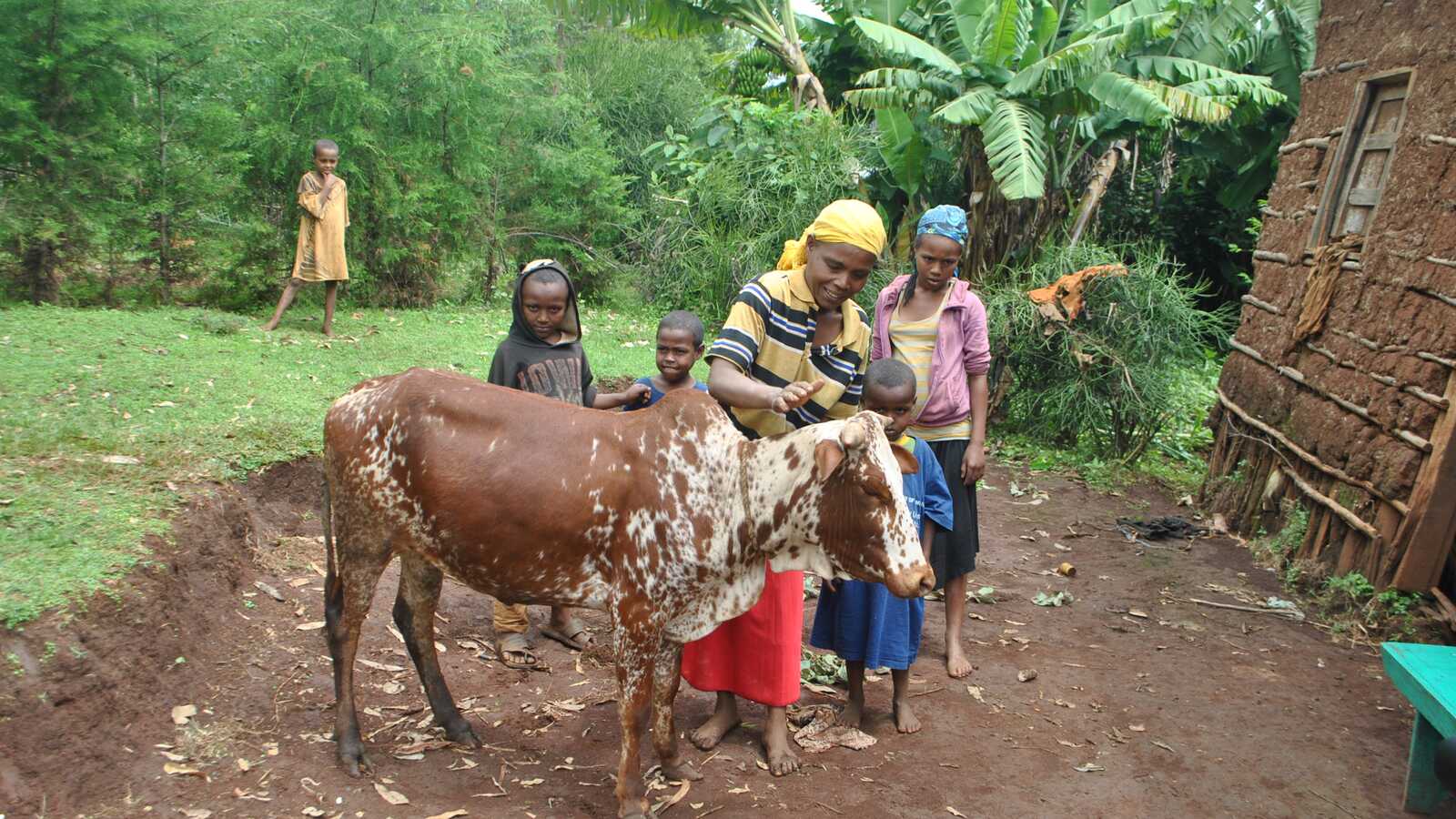 woman and children petting a cow