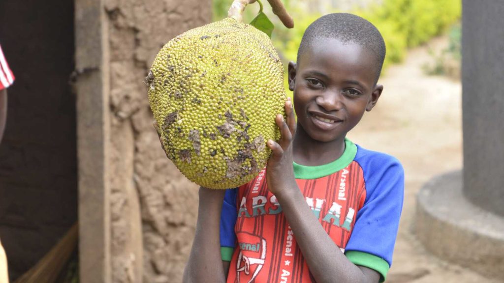 Boy carrying crop in Uganda