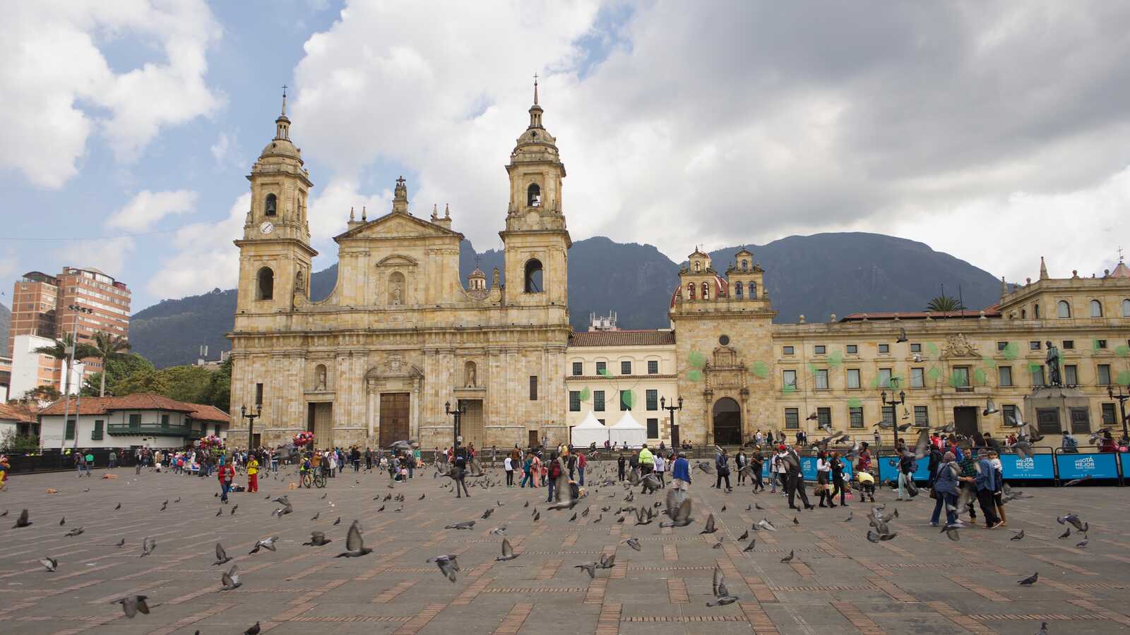 Pigeons in crowd outdoors in Colombia