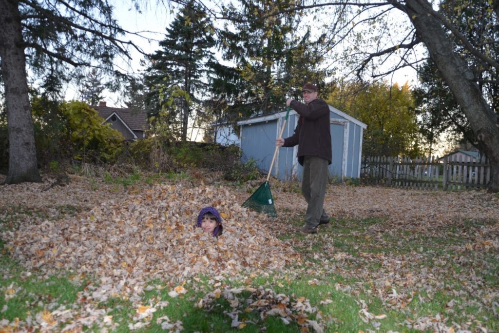 man raking pile of leaves with girl playing in backyard