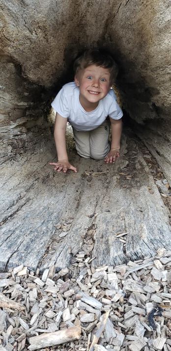 smiling boy crawling through hollow tree