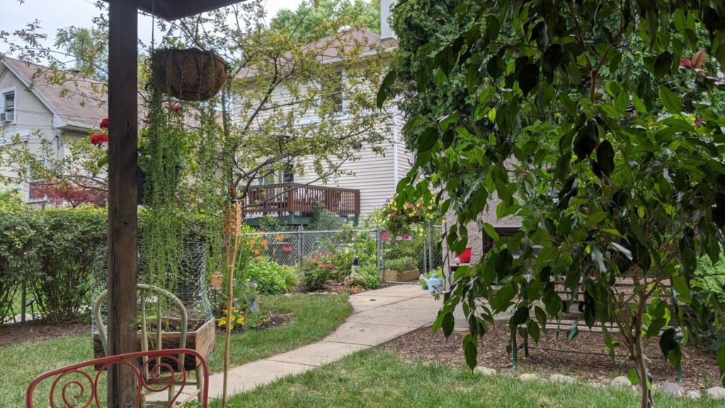 backyard with walking path and green leafy trees