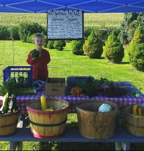 little boy holding pepper at market stand of vegetables