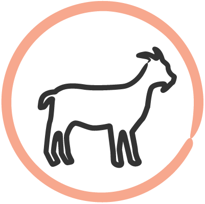 graphic of goat in a circle