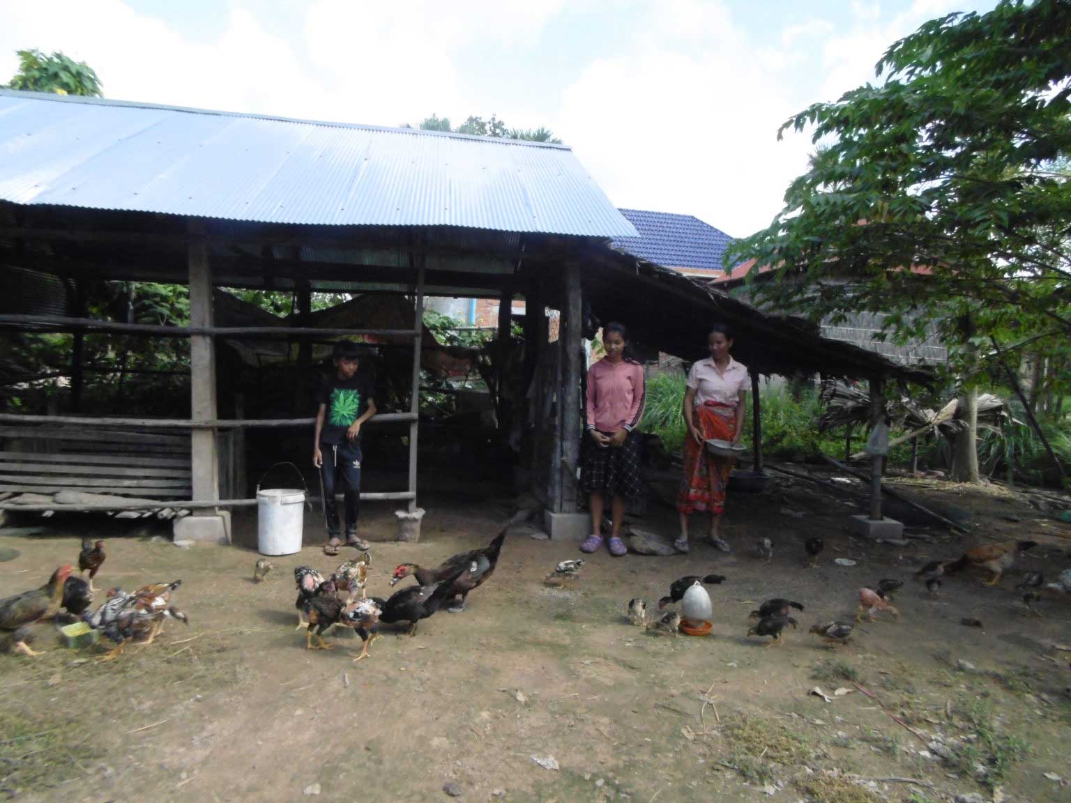 Children feeding chickens in Cambodia