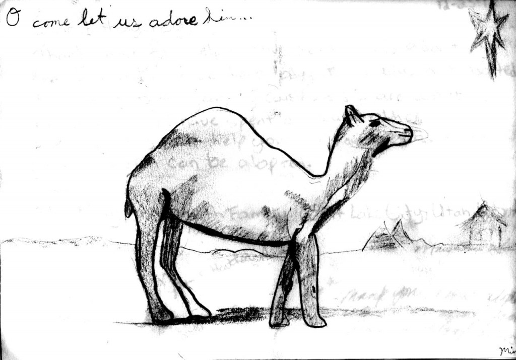 Christmas Camel