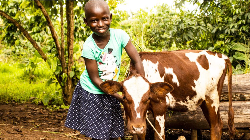 Young girl in Uganda with her cow