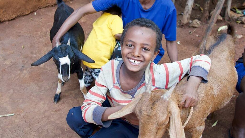 A boy and his mom post with goats outside their home for a holiday gifts photoshoot in Ethiopia