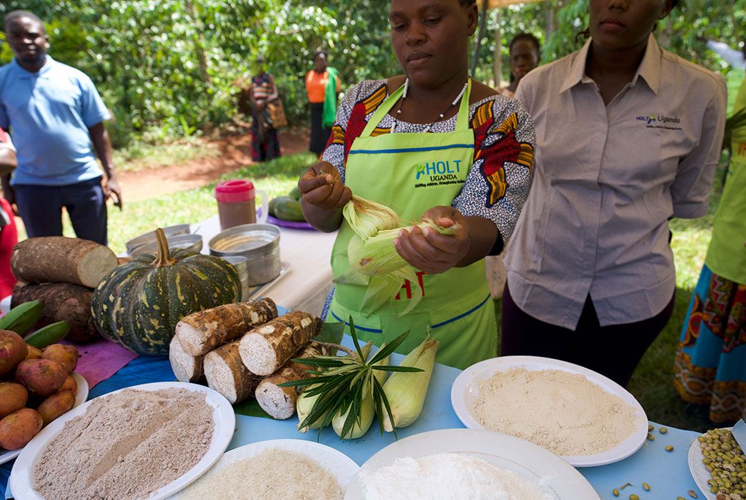 a health worker husks an ear of corn