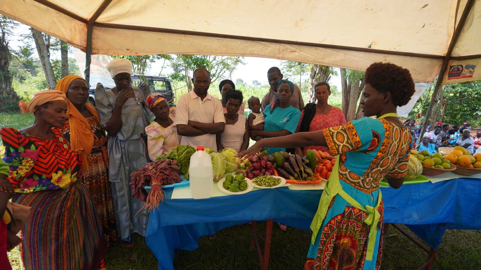 A health worker points to healthy food and teaches parents