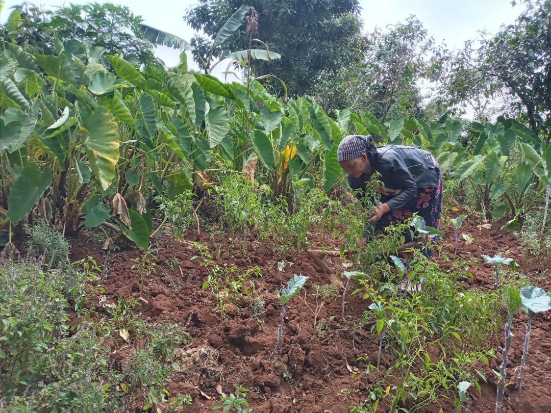 Woman bends down working in garden