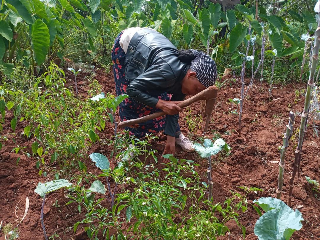 Woman bends down to work in garden