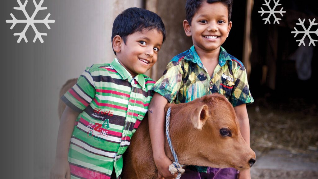 Two young boys from India standing next to a baby cow