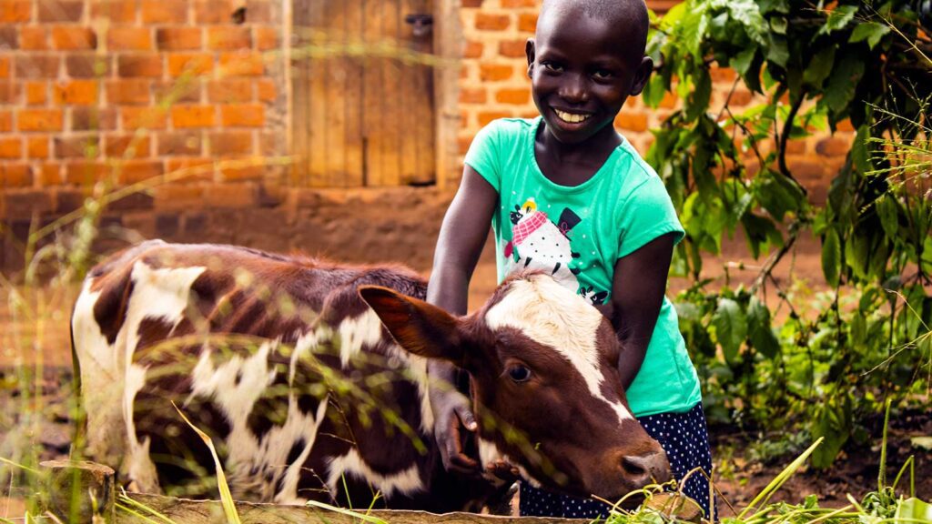 A girl in Uganda poses with a baby calf