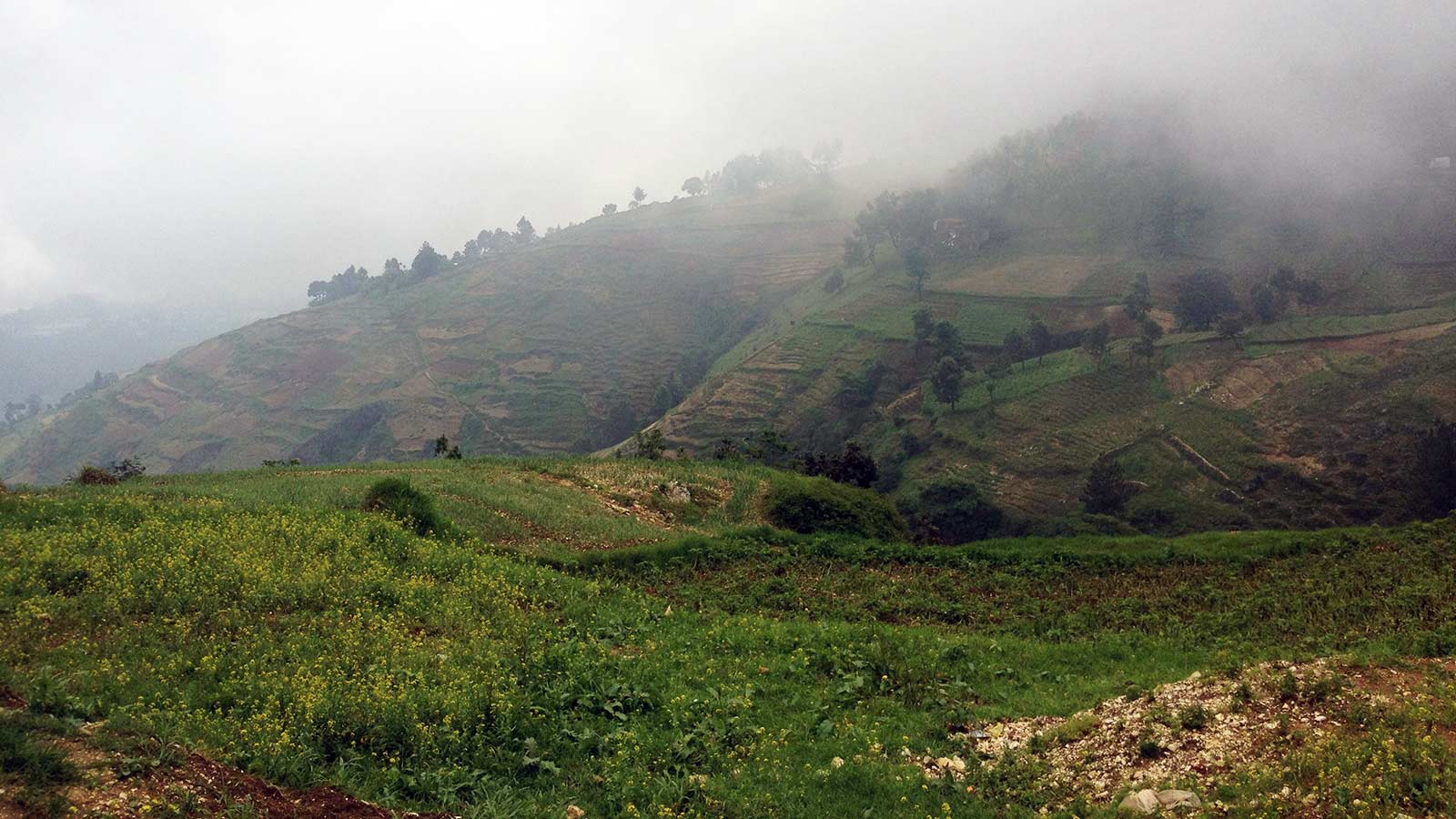 Landscape of Haiti Mountians